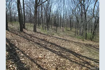 531 Pickles Ford Road, Saint Clair, MO 63077 - Photo 35