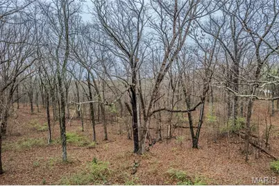 531 Pickles Ford Road, Saint Clair, MO 63077 - Photo 33