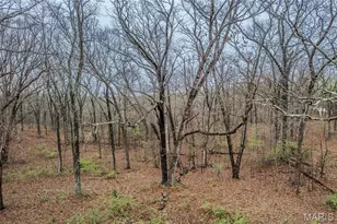 531 Pickles Ford Rd, Saint Clair, MO 63077 - Photo 33