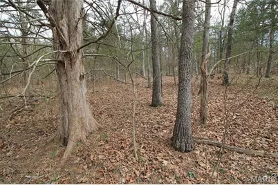 6150 Sr Dd, Festus, MO 63028 - Photo 21