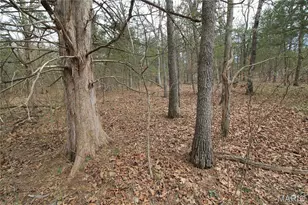 6150 Sr Dd, Festus, MO 63028 - Photo 21