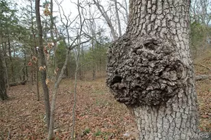 6150 Sr Dd, Festus, MO 63028 - Photo 25