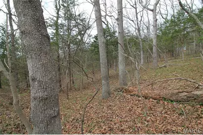 6150 Sr Dd, Festus, MO 63028 - Photo 23