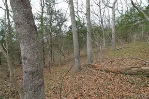 6150 Sr Dd, Festus, MO 63028 - Photo 23