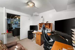 3118 Milissa Ln, Saint Louis, MO 63125 - Photo 29