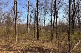 29086 State Hwy Aa, Wright City, MO 63390 - Photo 67