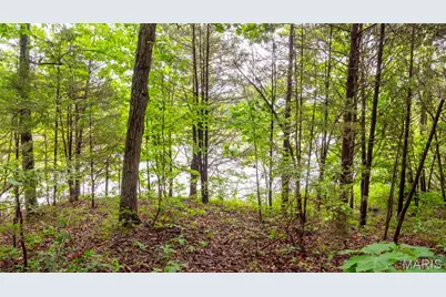 126 Rainbow Lake Drive, Villa Ridge, MO 63089 - Photo 17