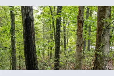 126 Rainbow Lake Drive, Villa Ridge, MO 63089 - Photo 21