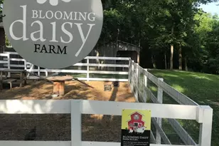 425 Round Tower Dr W, Cottleville, MO 63304 - Photo 81