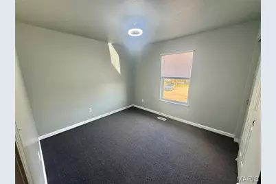 3 Bradley Court, Desloge, MO 63601 - Photo 29