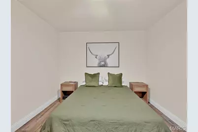 5516 Botanical Avenue, Saint Louis, MO 63110 - Photo 13