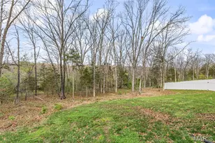 1592 Hickory Lndg, De Soto, MO 63020 - Photo 33