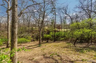 6570 Ike Dr, Barnhart, MO 63012 - Photo 47