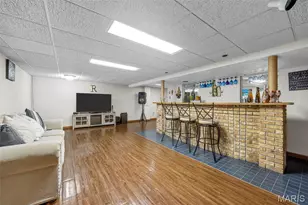 16 Tamma Ln, Hazelwood, MO 63042 - Photo 35