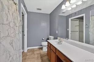 159 Brandy Mill Circle, High Ridge, MO 63049 - Photo 19