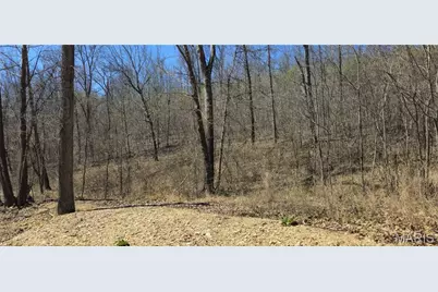 0 County Road 422, Washington, MO 63638 - Photo 3