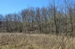 0 County Road 422, Washington, MO 63638 - Photo 1