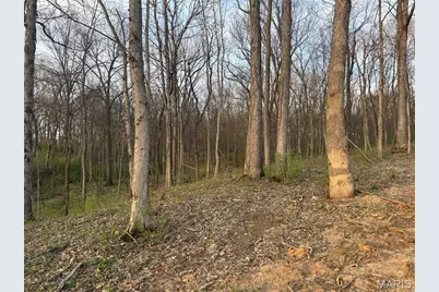 2988 Scott Road, Moscow Mills, MO 63362 - Photo 5