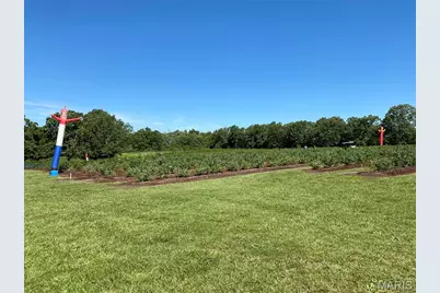 552 Lick Creek Road, Leasburg, MO 65535 - Photo 17