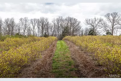 552 Lick Creek Road, Leasburg, MO 65535 - Photo 55