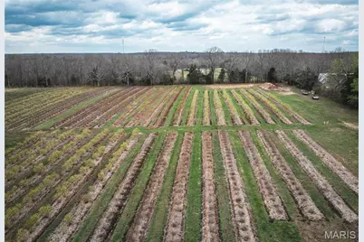 552 Lick Creek Road, Leasburg, MO 65535 - Photo 65