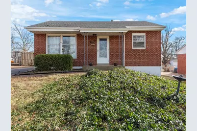 7408 Ray Avenue, Saint Louis, MO 63116 - Photo 27