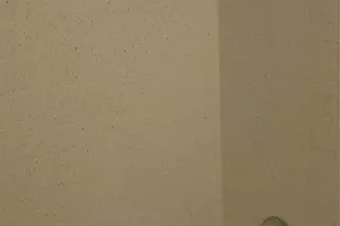 7359 Amherst Ave, University City, MO 63130 - Photo 15