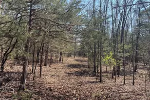 30050 Hwy T, Richland, MO 65556 - Photo 45