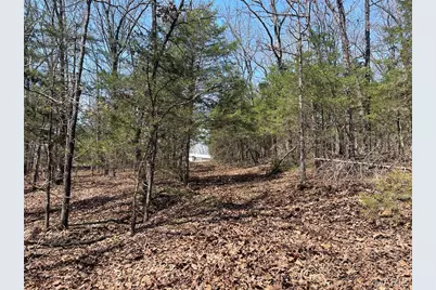 30050 Highway T, Richland, MO 65556 - Photo 37