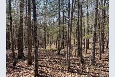 30050 Highway T, Richland, MO 65556 - Photo 47