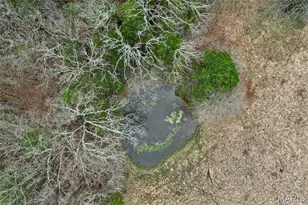 30050 Hwy T, Richland, MO 65556 - Photo 31