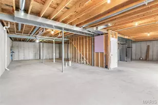 256 Savannah Ridge Ct, Fenton, MO 63026 - Photo 43