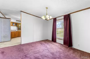 5600 Meadow Ln, Farmington, MO 63640 - Photo 23