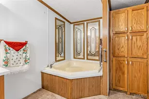 5600 Meadow Ln, Farmington, MO 63640 - Photo 41