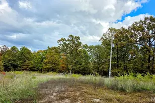 2066 State Road Jj, Stoutland, MO 65567 - Photo 43