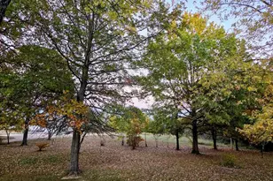 2066 State Road Jj, Stoutland, MO 65567 - Photo 11