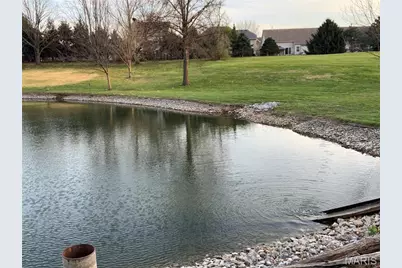 193 Berry Manor Circle, Saint Peters, MO 63376 - Photo 7