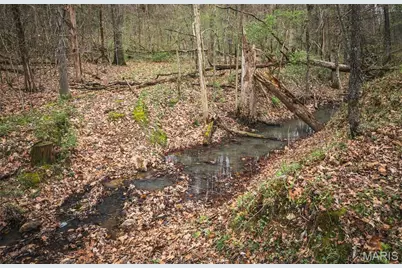 60 Mabel Lane, Marthasville, MO 63357 - Photo 13