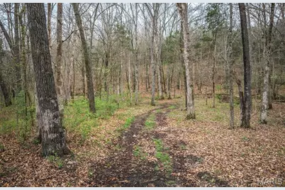 60 Mabel Lane, Marthasville, MO 63357 - Photo 7