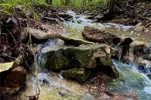 2567 Sugar Lake Rd, Pacific, MO 63069 - Photo 71