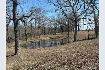 7440 Highway 17, Houston, MO 65483 - Photo 11