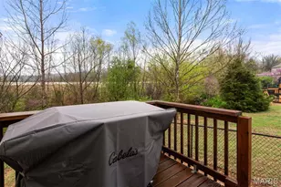 319 Hawks Perch Pl, Hillsboro, MO 63050 - Photo 41