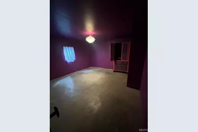 6636 County Road 423, Palmyra, MO 63461 - Photo 33