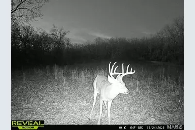 10140 Cedar Hollow Road, Fletcher, MO 63030 - Photo 19