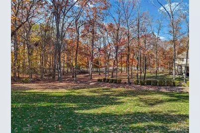 111 Wildhorse Road, Farmington, MO 63640 - Photo 71