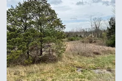 Lot 16 Pine Crest Estates, Wright City, MO 63390 - Photo 1