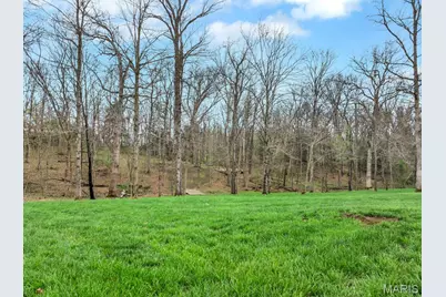 30 Woodbine Court, Troy, MO 63379 - Photo 39