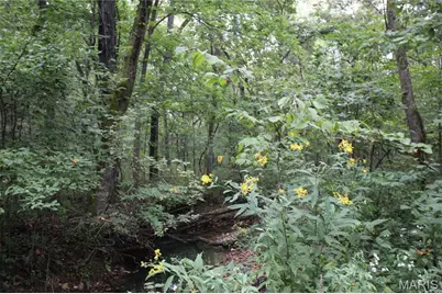 65 +/- Acres Pendleton Lost Creek Road, Warrenton, MO 63383 - Photo 5