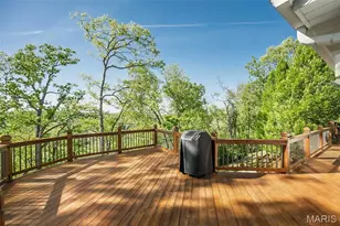 16925 Lewis Spring Farms Rd, Saint Louis, MO 63005 - Photo 57
