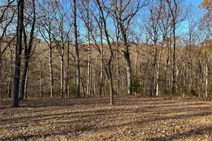 23013 Rock Bluff Dr, Richland, MO 65556 - Photo 77